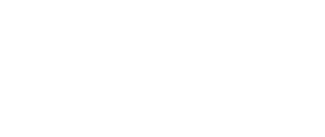 willfund-logo-bialy